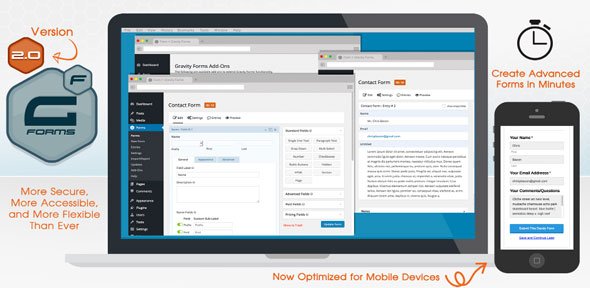 Gravity Forms v2.9.9.1